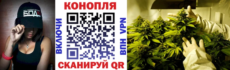 где купить наркотик  Сланцы  hydra маркетплейс  Шишки марихуана Bruce Banner 